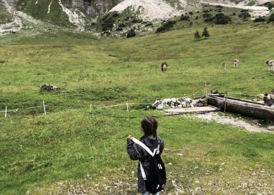 Besuch bei unseren Rindern auf der Alpe: Kind erkundet Weide