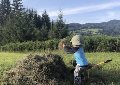 Kind hilft bei Heuarbeiten